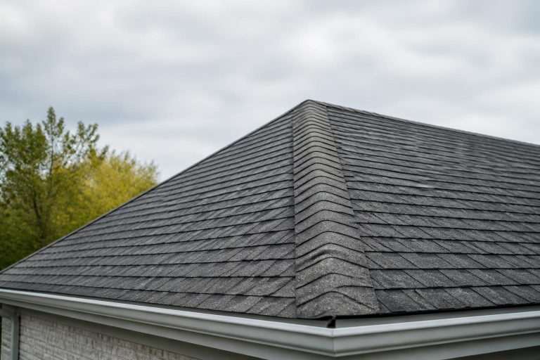 Roof Inspections